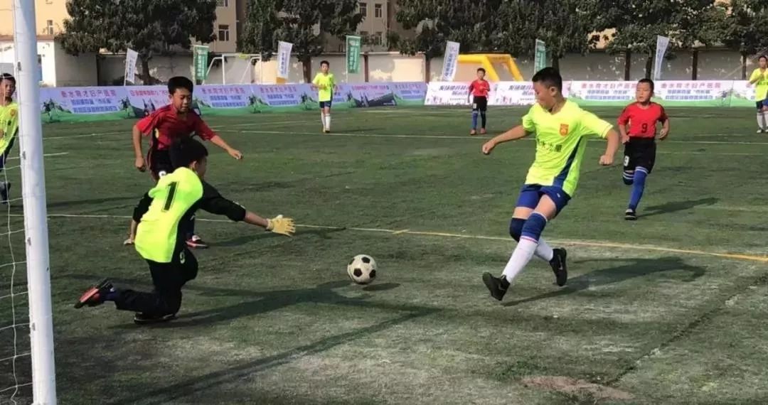 今日new衡水丨衡水十二时辰！“一部手机游衡水”，VR景观云直播，带你爽到爆