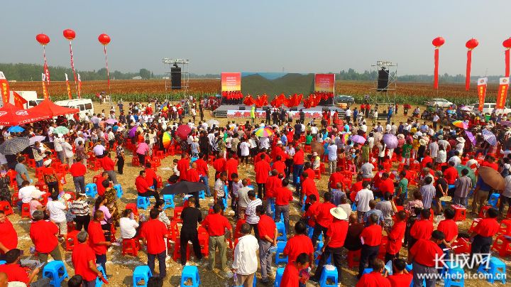 今日new衡水丨衡水十二时辰！“一部手机游衡水”，VR景观云直播，带你爽到爆