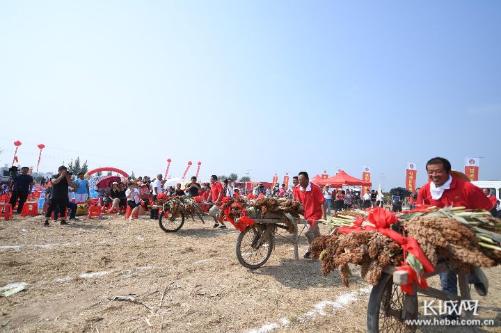 今日new衡水丨衡水十二时辰！“一部手机游衡水”，VR景观云直播，带你爽到爆