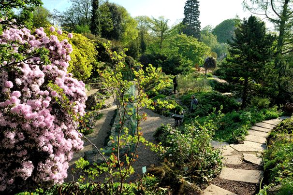 旅行游记两分钟感受美丽巴黎,旅游巴黎游记