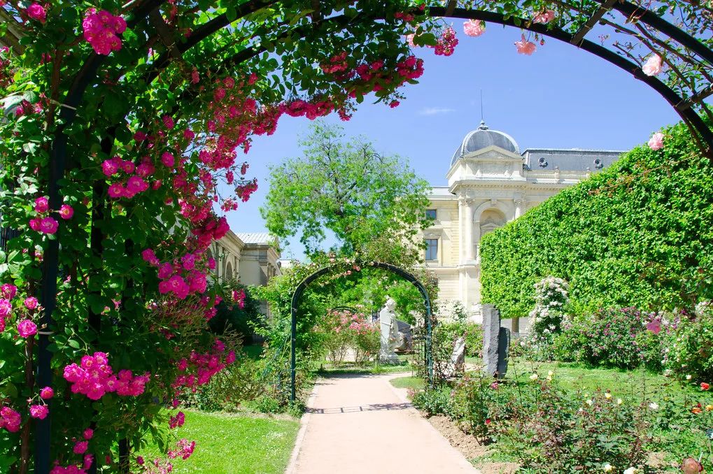 旅行游记两分钟感受美丽巴黎,旅游巴黎游记