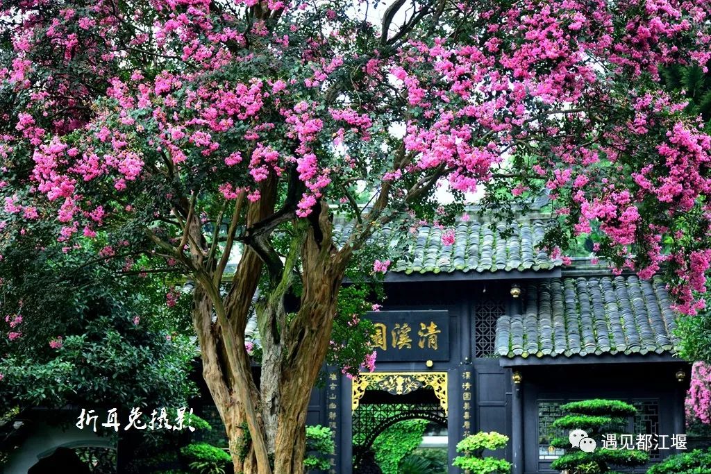 国庆都江堰怎么玩,去都江堰玩啥最好看的攻略图解