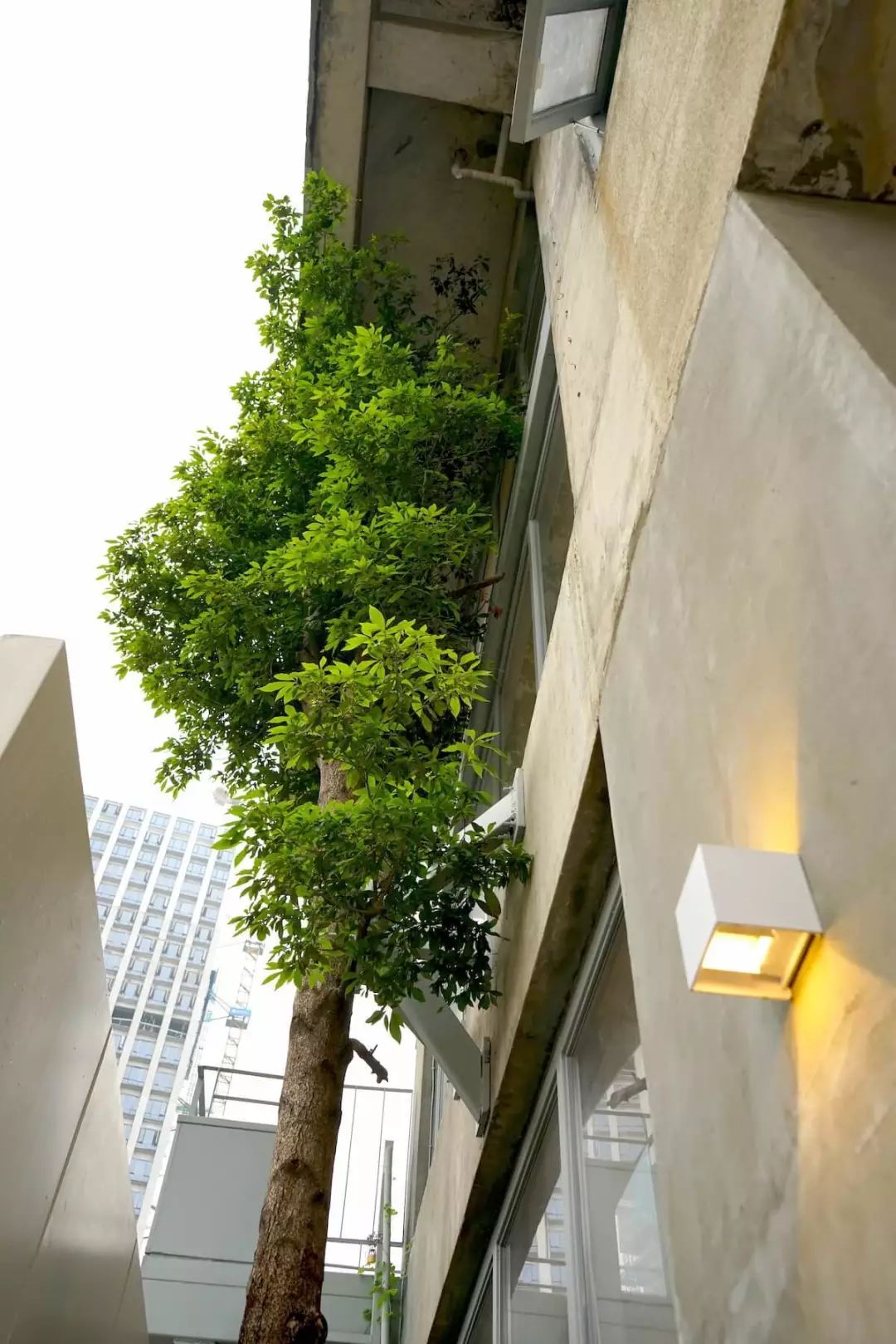 报告！东郊记忆的咖啡馆要抢我的钱