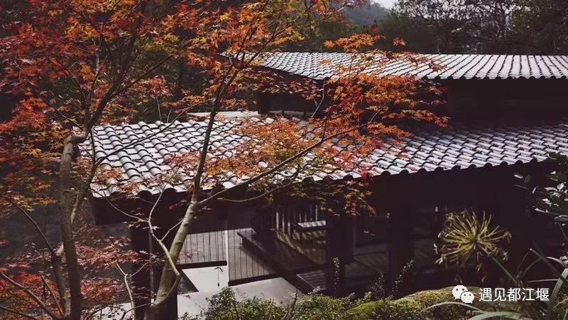 国庆都江堰怎么玩,去都江堰玩啥最好看的攻略图解