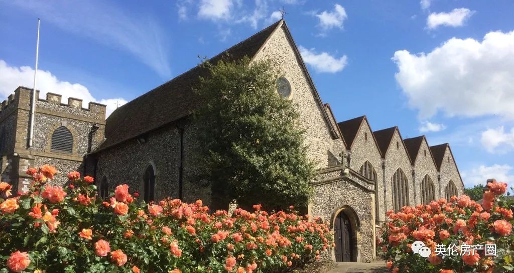 稀缺别墅新品,超优质稀缺别墅推荐