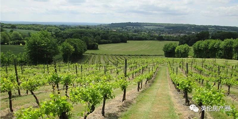 稀缺别墅新品,超优质稀缺别墅推荐