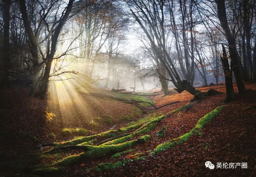 稀缺别墅新品,超优质稀缺别墅推荐