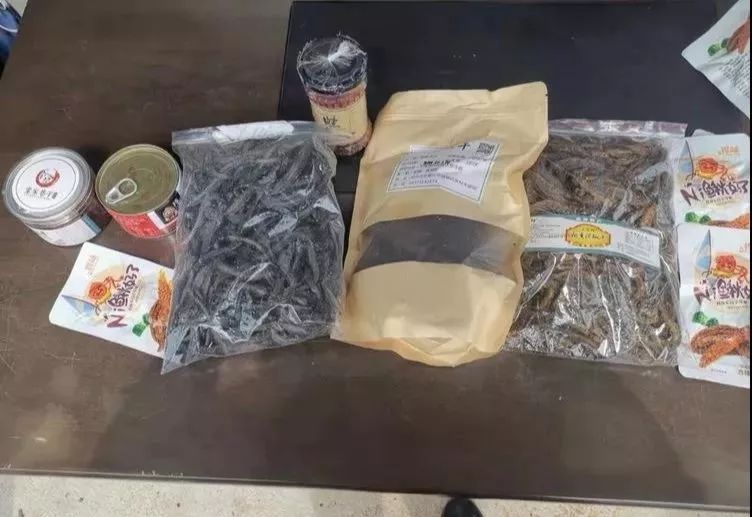 给力,禹州小乡村“小泥鳅”喜获大丰收