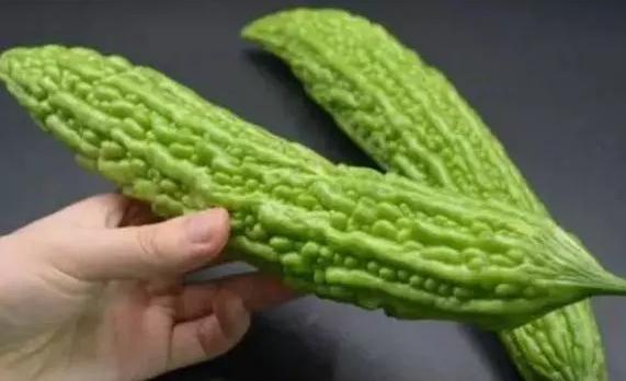 苦瓜苦是因为没熟,苦瓜苦的没法吃