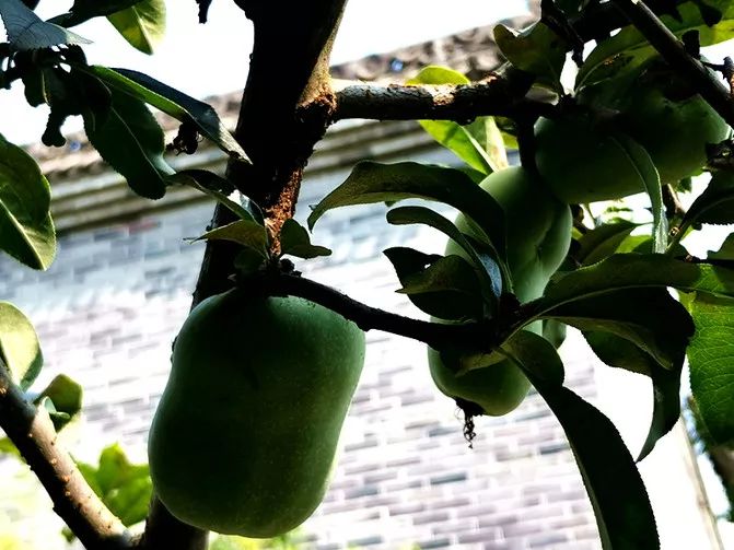 甘肃两当县旅游攻略,甘肃陇南两当旅游攻略