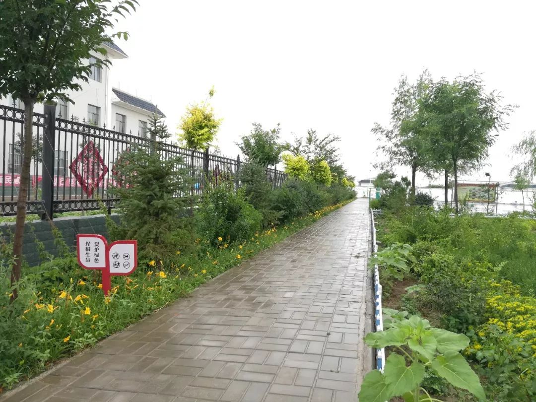 武威第二十二中学地址,武威第二二十三中学