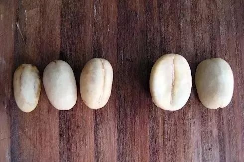 坦桑尼亚乞力马扎罗咖啡,肯尼亚咖啡推荐