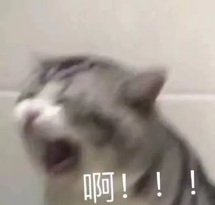 爹妈静悄悄总是在作妖,爹妈静悄悄准是在作妖后续