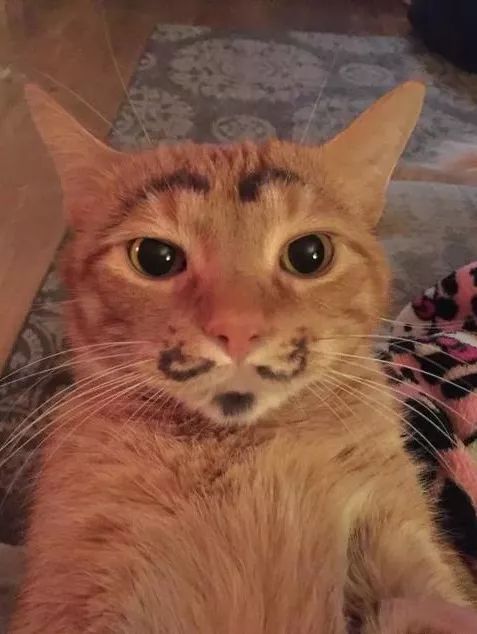 爹妈静悄悄总是在作妖,爹妈静悄悄准是在作妖后续