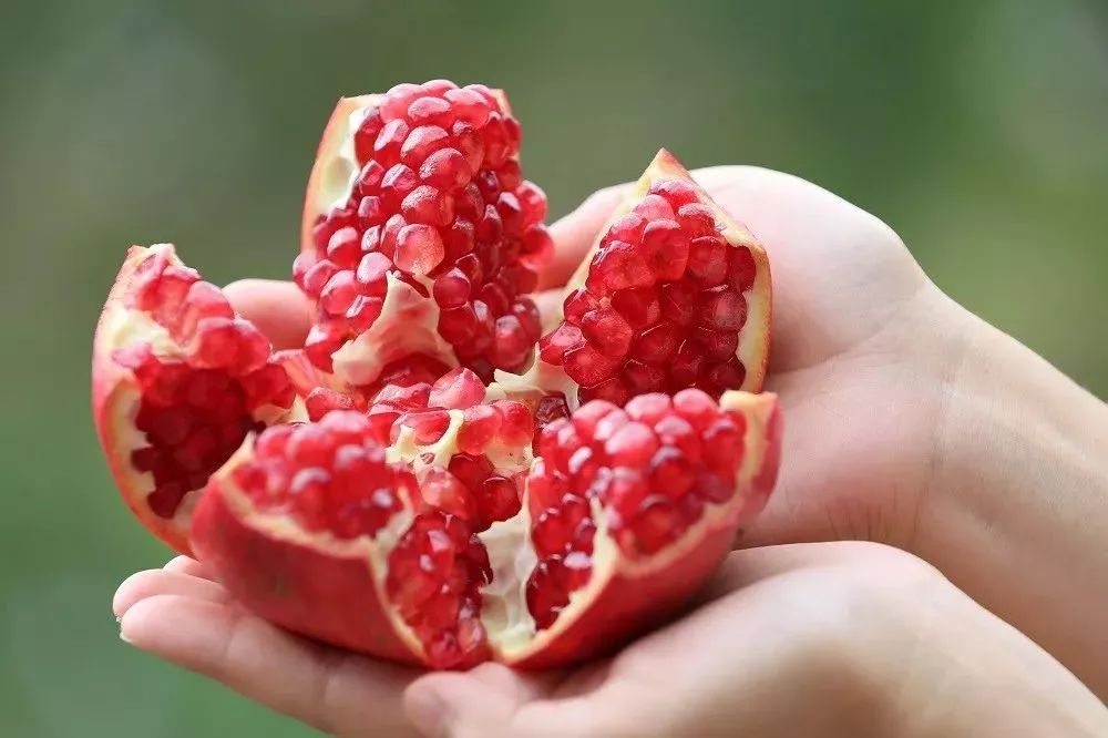 钂欒嚜鐭虫Υ鎬庝箞鏍蜂簡,钂欒嚜鐭虫Υ缃戠粶钀ラ攢