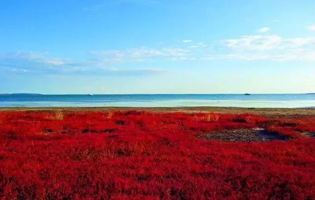 内蒙古的秋天有多美,内蒙古的秋天有多美啊