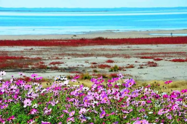 内蒙古的秋天有多美,内蒙古的秋天有多美啊