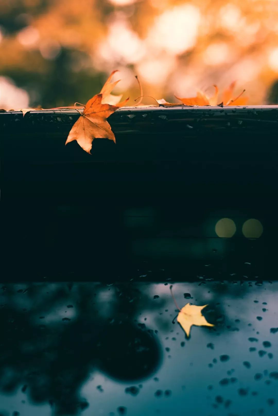 白露节气一场秋雨一场凉,有关24节气白露的知识