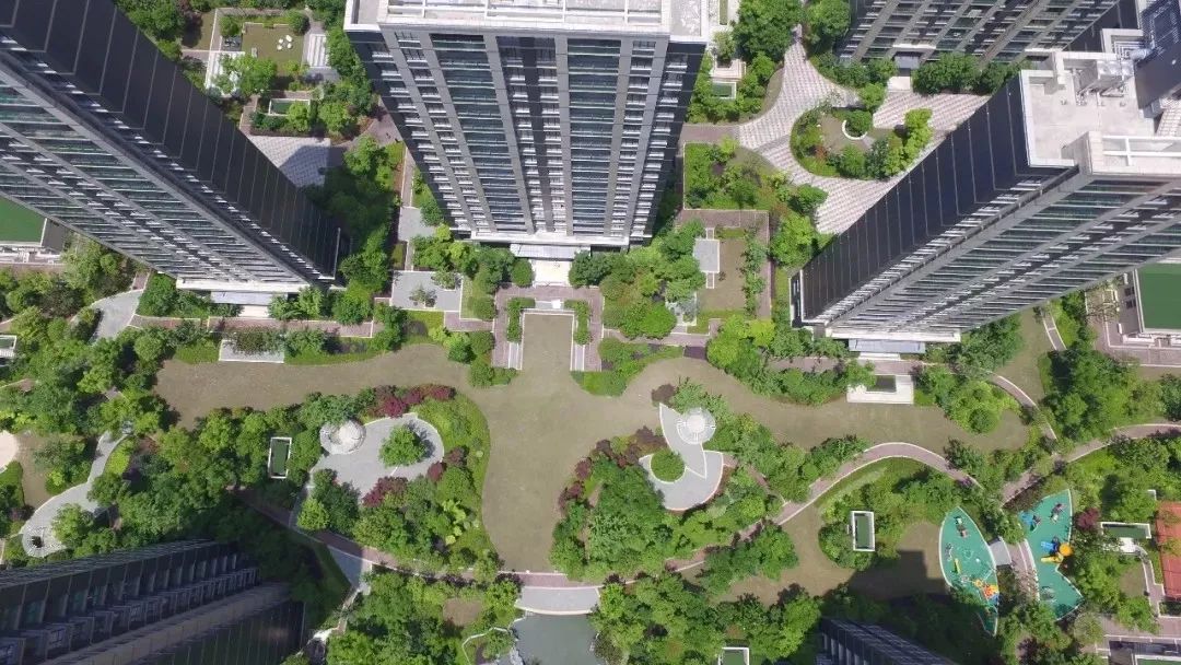 陆家嘴地图视频,2024年的上海陆家嘴图片