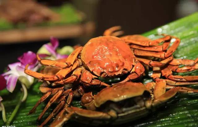 鲅鱼圈几月份适合旅行,鲅鱼圈下雨天适合去哪里玩