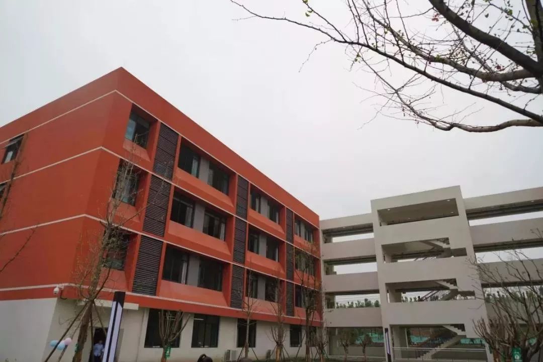 成都各区新投入使用小学大PK，到底谁才是成都新晋网红学校？（内含划片范围）