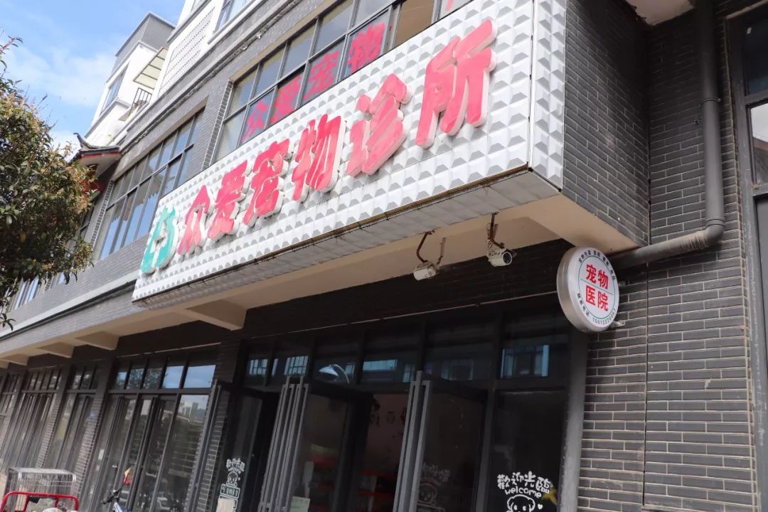 丽江宠物基地,丽江最好的宠物医院