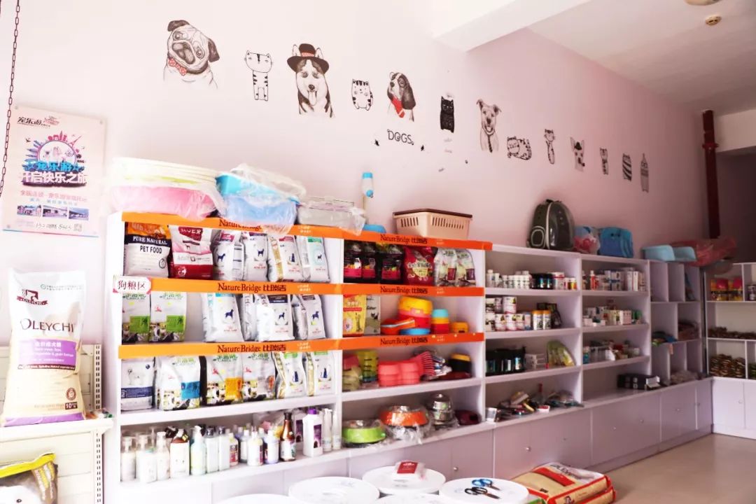 丽江宠物基地,丽江最好的宠物医院