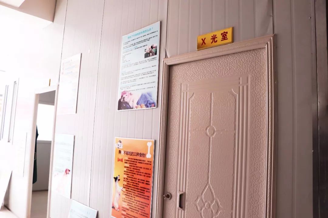 丽江宠物基地,丽江最好的宠物医院