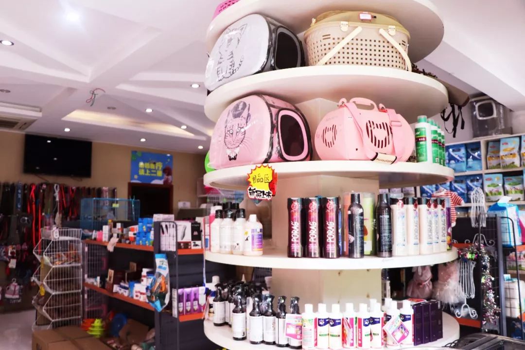 丽江宠物基地,丽江最好的宠物医院