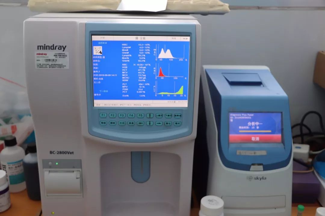 丽江宠物基地,丽江最好的宠物医院