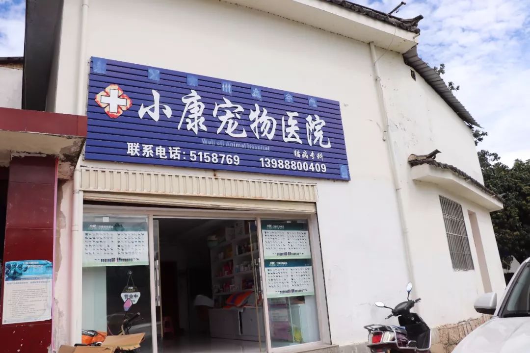丽江宠物基地,丽江最好的宠物医院