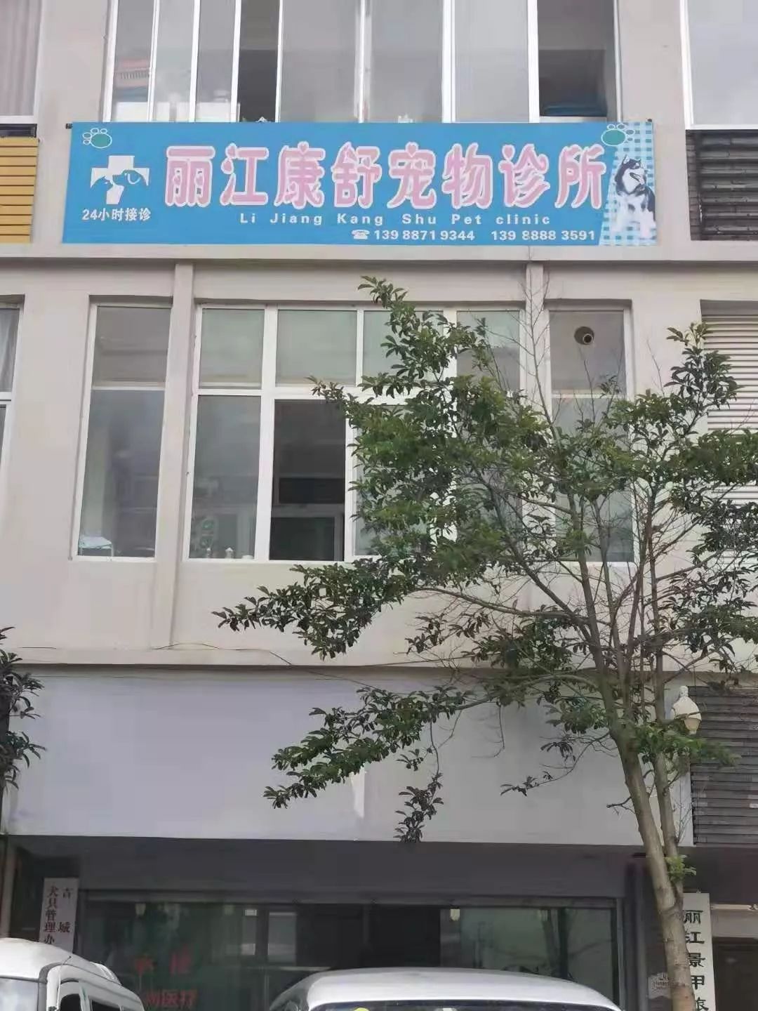 丽江宠物基地,丽江最好的宠物医院