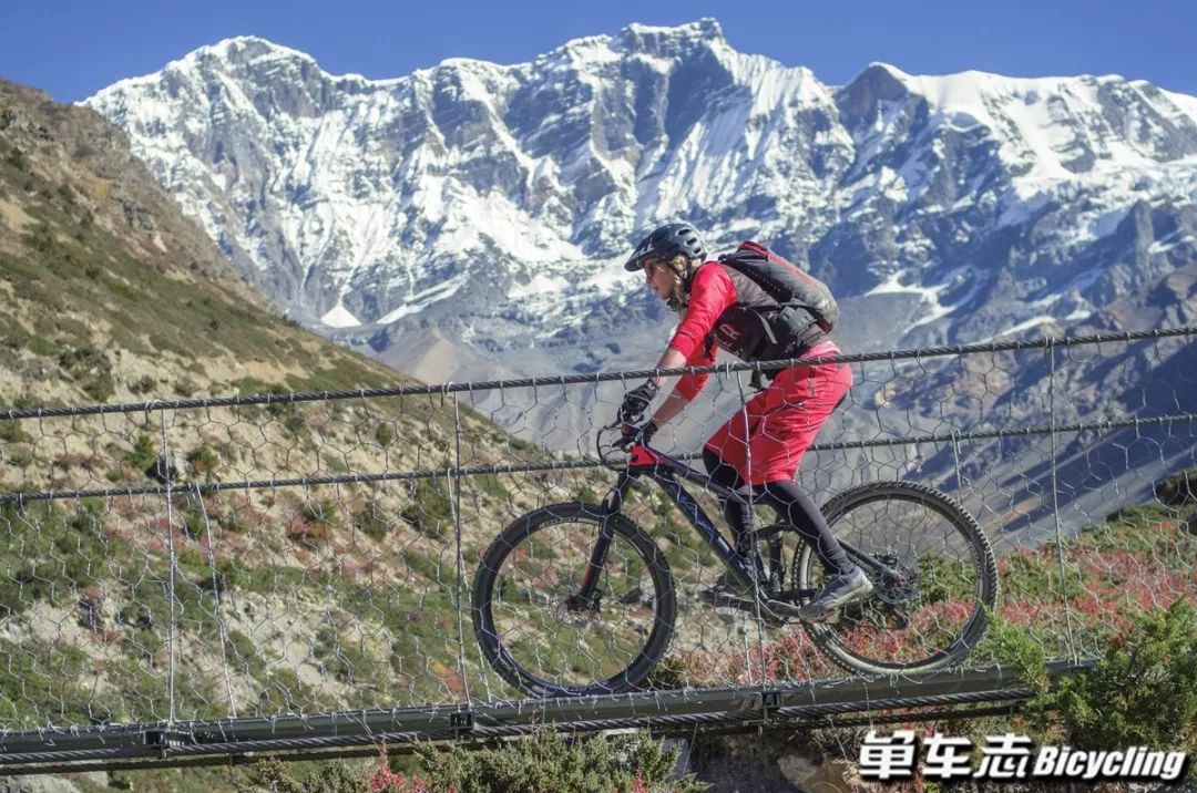 主流山地车的规格和各自特点,山地车逆袭之路