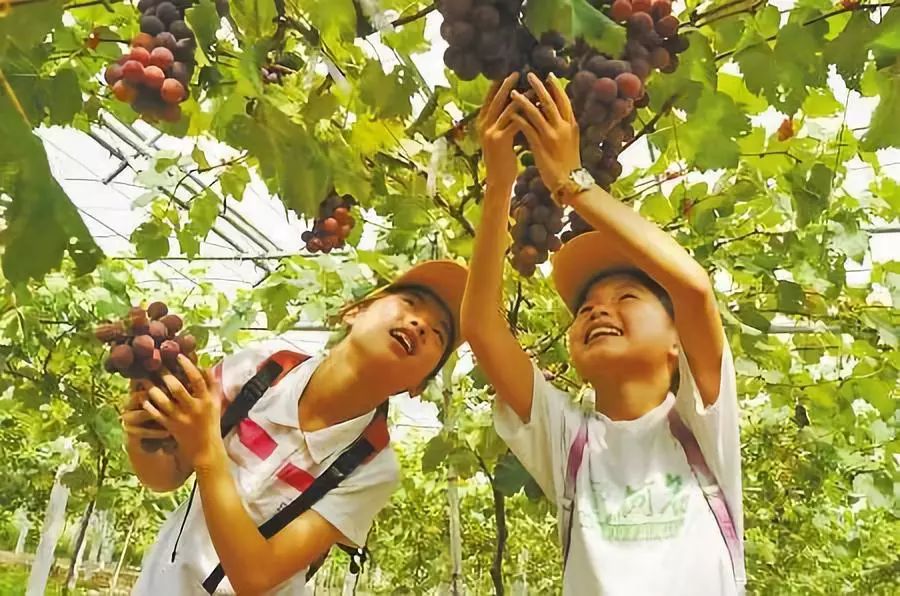 中秋节周边游最佳路线,中秋出游攻略两天一夜