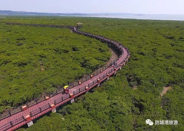 上山下海去旅行,上山下海出国游