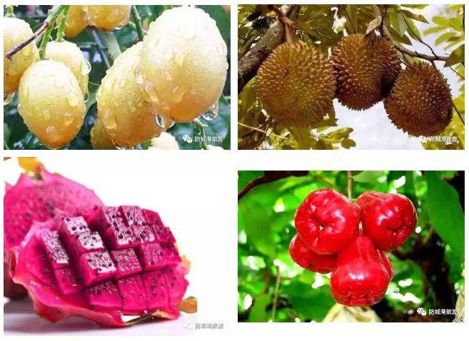 上山下海去旅行,上山下海出国游