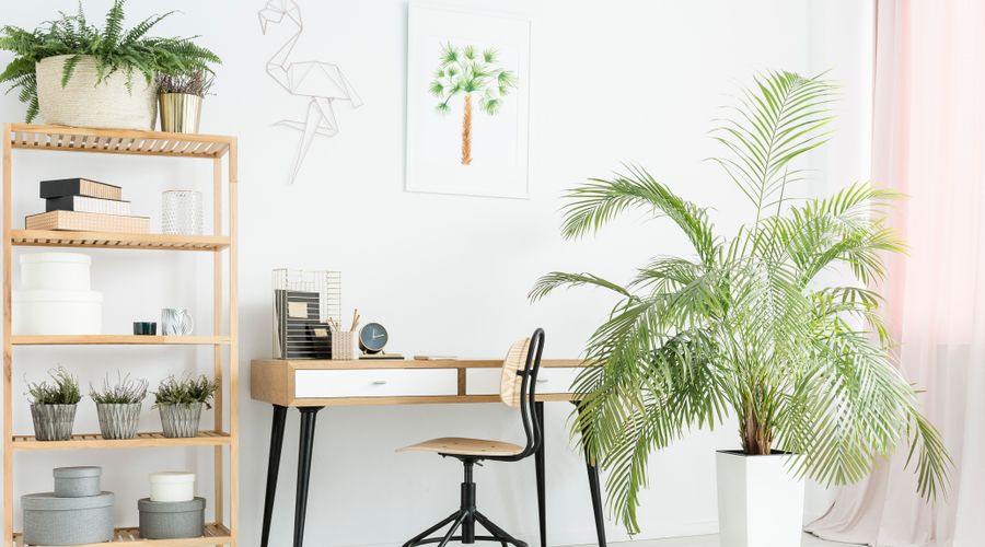 装修中的甲醛问题这样解决最有效,新房装修后甲醛如何处理最有效