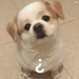 双11清单手写,双11购物单抄作业