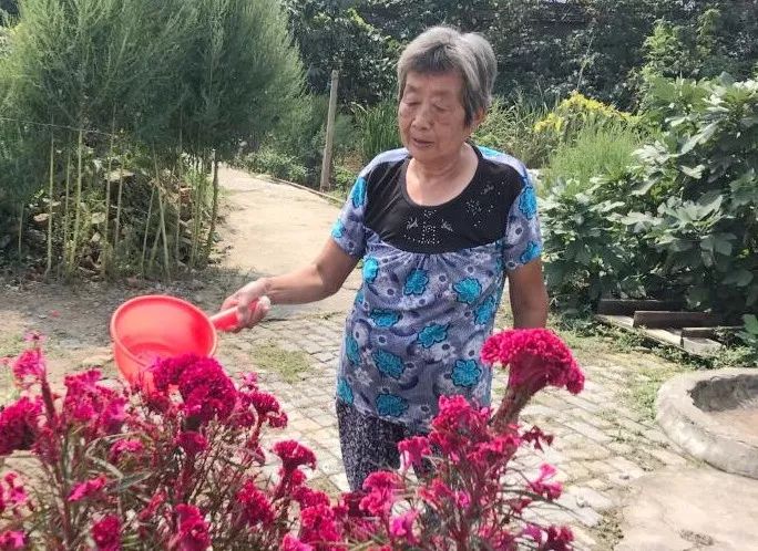 太仓十大好人,太仓好人发布最新消息