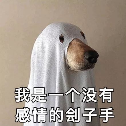 每天都有几千人坐着飞机迫不及待的赶去被骗