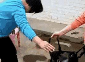 每天都有几千人坐着飞机迫不及待的赶去被骗