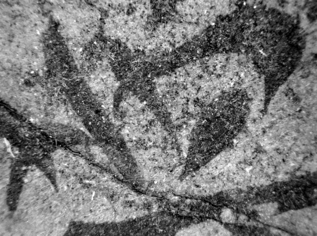 辽庆州白塔寺简介,辽代佛经