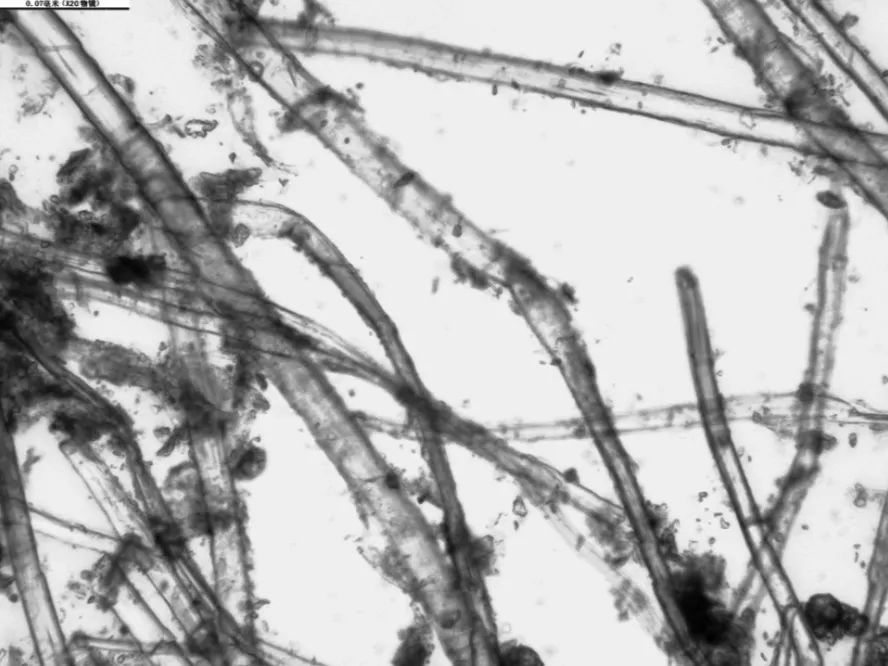 辽庆州白塔寺简介,辽代佛经