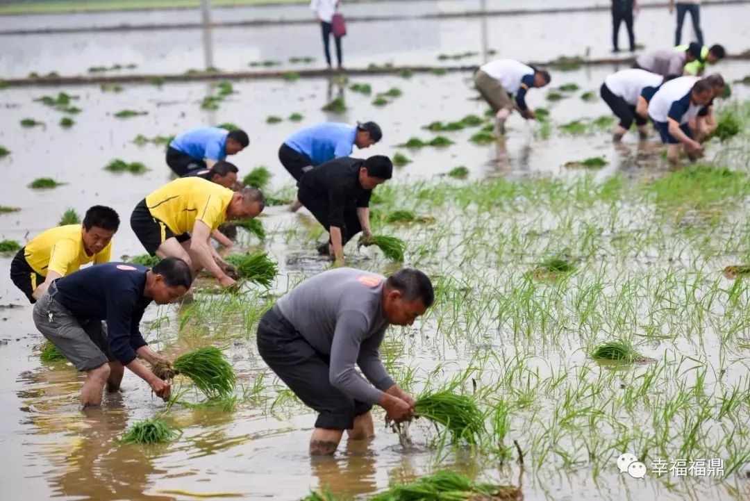 丰收节即将开始,农民丰收节即将开幕