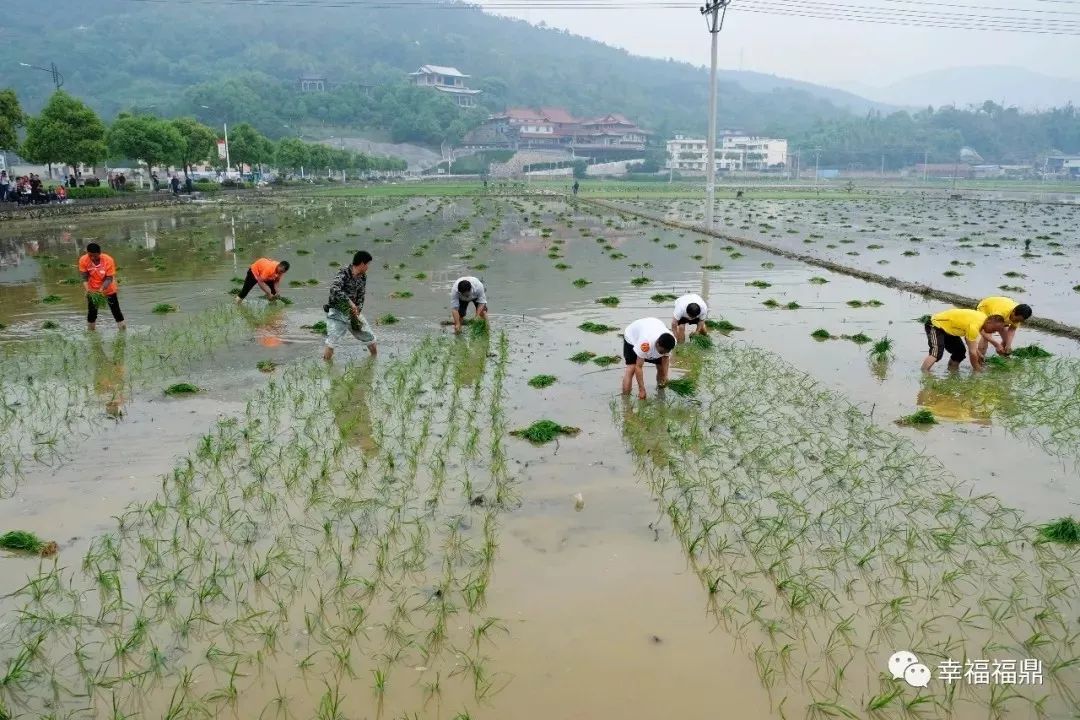 丰收节即将开始,农民丰收节即将开幕