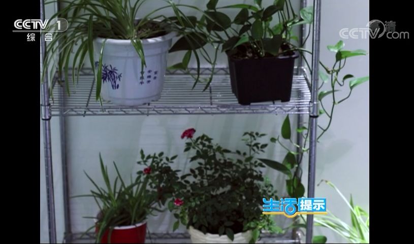 盆栽花草补水有哪些方法技巧,花快干枯了怎么补水