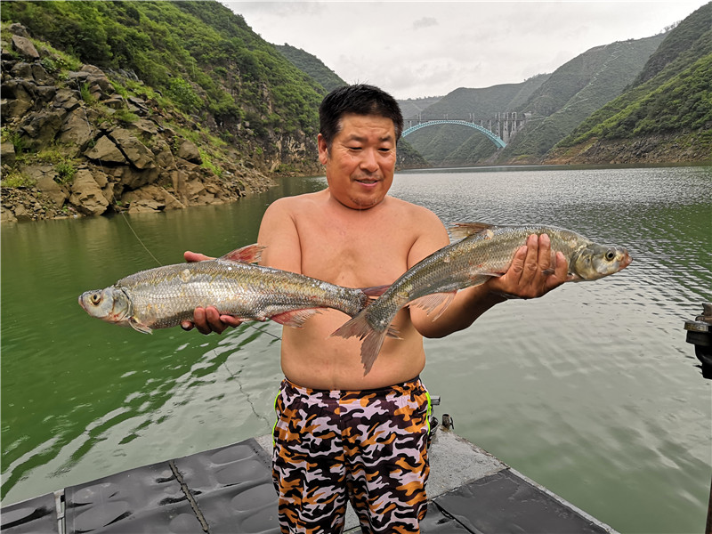 左手大鲤右手大翘我的鱼获超给力