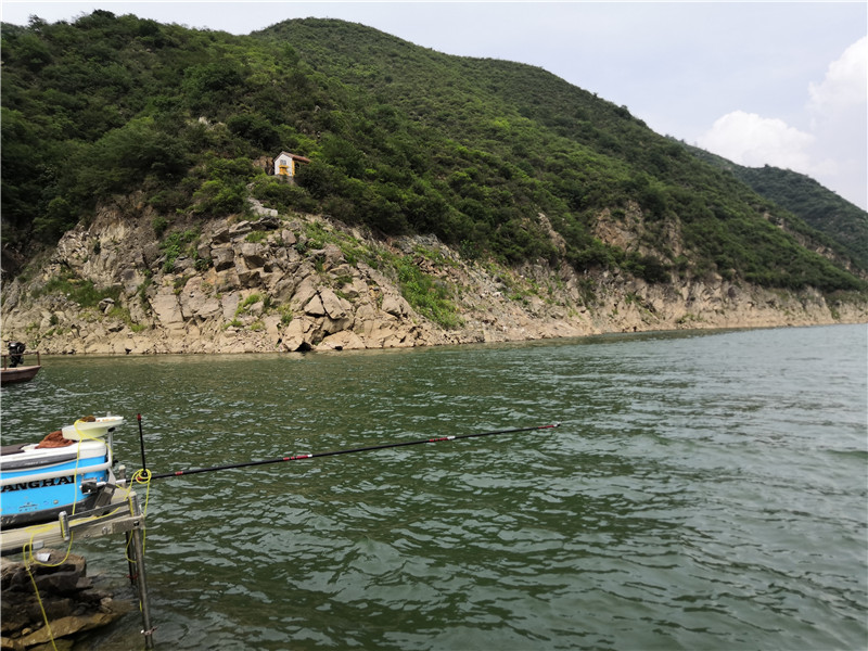 左手大鲤右手大翘我的鱼获超给力