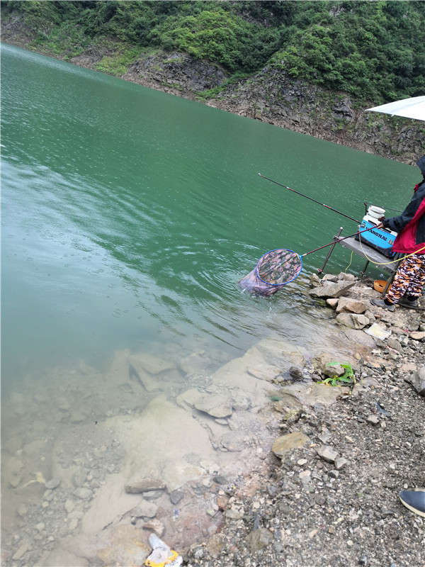 左手大鲤右手大翘我的鱼获超给力