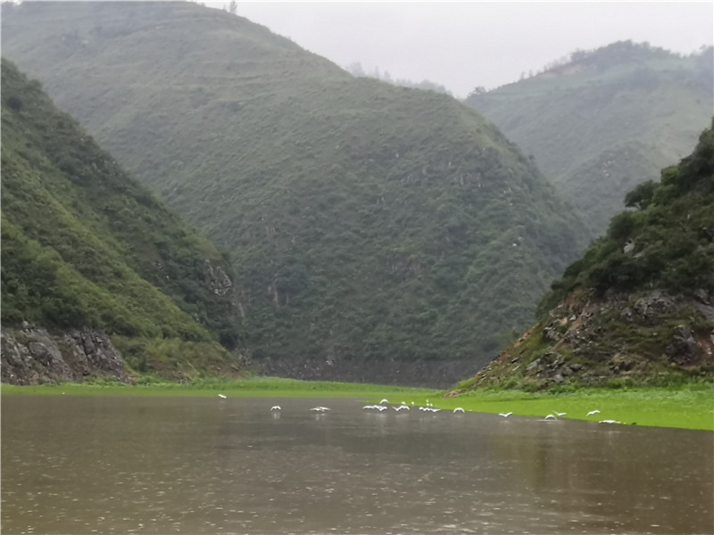 左手大鲤右手大翘我的鱼获超给力